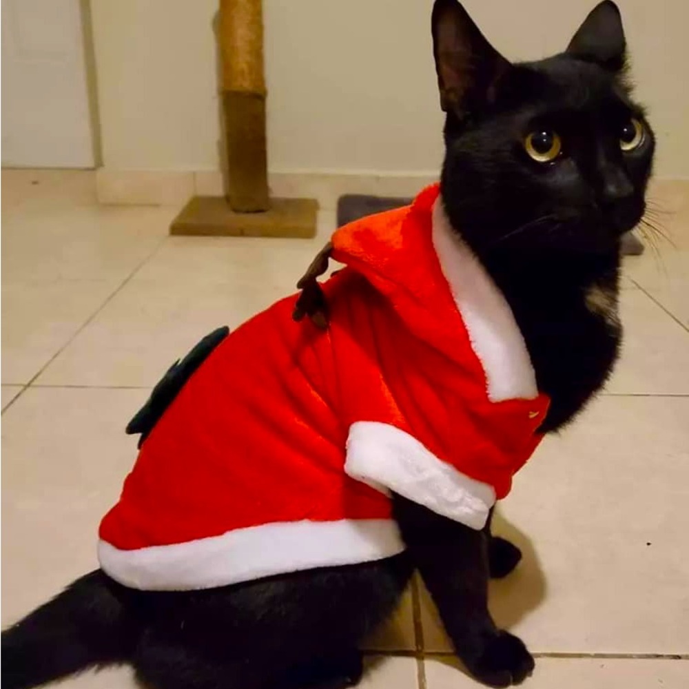 Meet your Posher, Andre